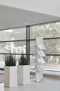 three white planters with plants in them on the floor next to large windows,