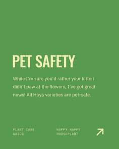 a green poster with the words pet safety written on it