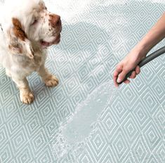 a dog sitting on the floor with a person holding a hose to it's mouth