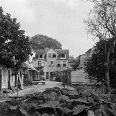 an old black and white photo of a house with lots of plants in front of it