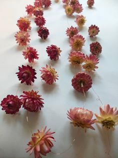 many pink and yellow flowers are arranged on a white table top with string attached to them