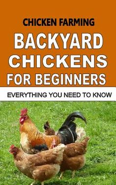 Here in, are all the relevant information necessary to guide you effectively towards raising healthy chickens within your backyard. This book has been crafted insightfully, and presented in a simple yet profound manner, to walk you carefully through the whole journey: from preparations, choosing the right breeds, housing needs, feeding, effective ways of managing chicken diseases, stress, and vices. And it doesn't stop there! It further arms you with extra invaluable knowledge and skills necessa Chickens For Beginners, Best Egg Laying Chickens, Chicken Chick, Free Range Chickens, Backyard Chickens, Chicken Breeds