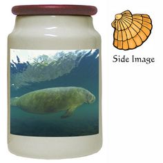 a glass jar with an image of a manass swimming in the water, and a seashell above it