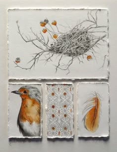 three paintings with different birds on them, one is orange and the other has brown feathers