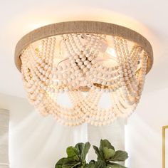 a living room with a potted plant and a chandelier hanging from the ceiling