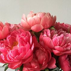 a vase filled with pink flowers on top of a table