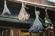 dried herbs are hanging from the outside of a building