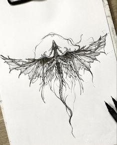 a drawing of a plant with roots on paper next to scissors and ink pen,