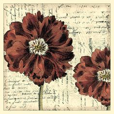 two red flowers sitting on top of an old piece of paper with writing in the background