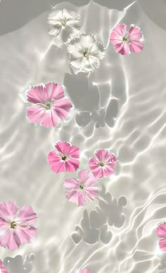 some pink and white flowers floating in water