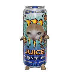 Sad cat in a can, monster, juice, aussie lemonade, blue Monster Energy Drink, Cat Items, Cute Black Cats