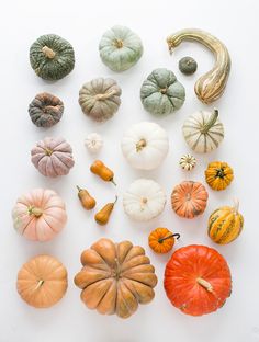 several different types of pumpkins on a white surface