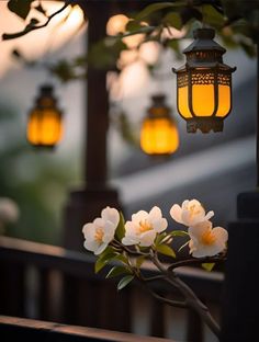 some flowers are blooming in front of two lamps hanging from a tree branch on a porch