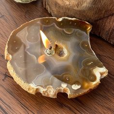 a candle that is inside of a shell on a table next to some rocks and wood