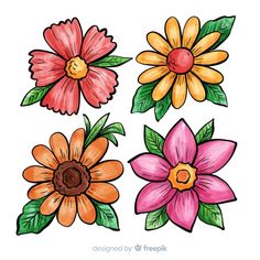 four different colored flowers with green leaves on the top and one pink flower on the bottom