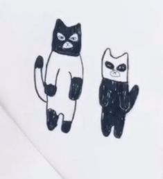 two black and white cats sitting next to each other on top of a table with one cat drawn on it's back