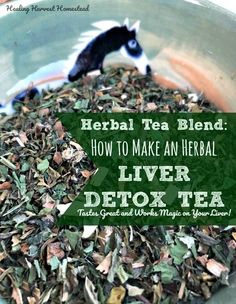 Herbs for Liver Support and Detox (An Herbal Tea Recipe to Clean Your Body Up Now!) Herbal Tea For Liver, Herbs Tea Recipes, Milk Thistle Recipe, Liver Tea Recipe, Milk Thistle Tincture Diy, Milk Thistle Tea Recipe, Herbs For Detoxing, Make Your Own Herbal Tea, Herbal Detox Cleanse