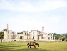 a horse grazes in front of an old building with columns and arches on it