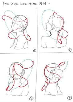 how to draw the head and neck