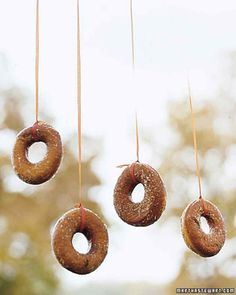 three doughnuts hanging from strings in front of the camera, with trees in the background