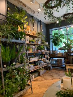 a room filled with lots of green plants and potted plants on shelves next to a window