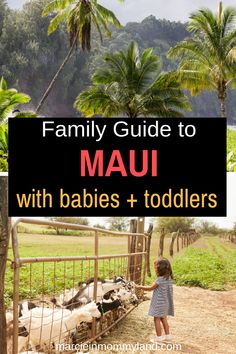 Best Maui Resorts, Maui With Kids, Resorts For Kids, Maui Resorts, Maui Beach