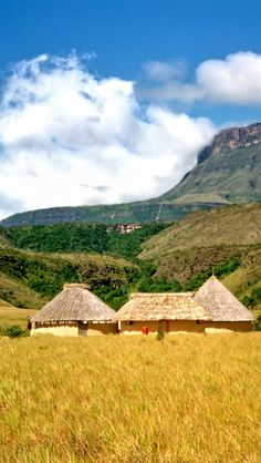 two huts in a field with mountains in the background