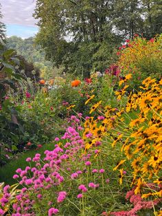 colorful flowers line the edge of a garden with trees in the backgrounnd