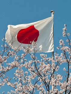 a japanese flag flying in the wind next to some trees with white and red flowers