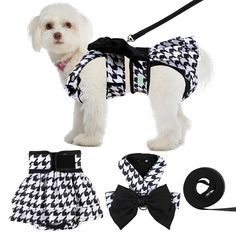 a small white dog wearing a black and white checkered outfit with matching leashes