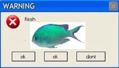 a computer screen with an image of a fish and the words, warning on it