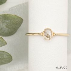 a gold ring with an oval cut diamond on the side and a leafy green plant behind it