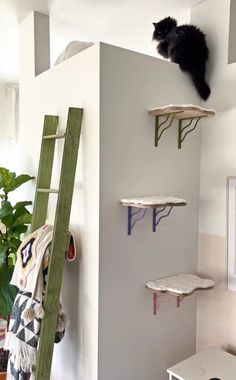 a black cat sitting on top of a wooden shelf next to a ladder in a living room