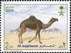 a postage stamp with a camel in the desert