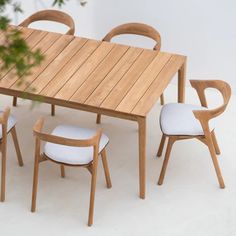 a wooden table with chairs around it on a white floor next to a potted plant