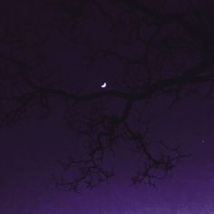 the moon is visible in the night sky above some bare tree branches and dark purple skies