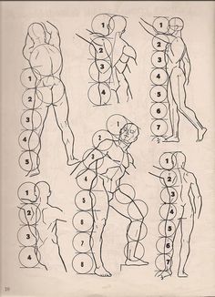 an image of a diagram of the human body with numbers and symbols on it's side