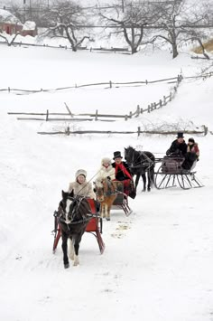 people are riding in a horse drawn sleigh