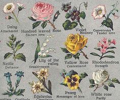 an image of flowers that are in different colors and sizes on a gray background, with words written below them