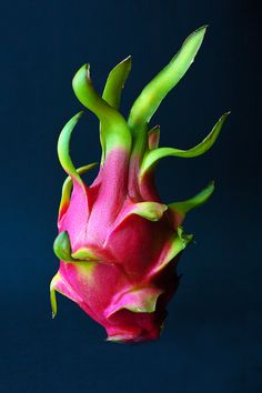 a dragon fruit with green stems sticking out of it's center, on a blue background