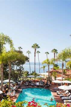 an outdoor swimming pool surrounded by palm trees and flowers with people sitting at tables in the background