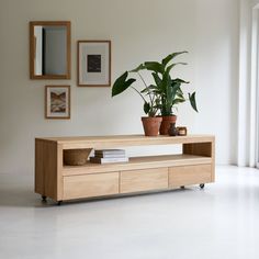 a plant is sitting on top of a wooden shelf in front of a wall with pictures