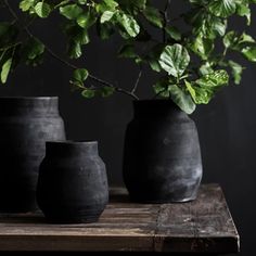 three black vases sitting on top of a wooden table next to a green plant