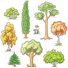 various trees and shrubs on a white background