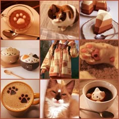 a collage of pictures with cats, food and drinks in it's images