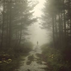 a person is walking down a path in the woods on a foggy, misty day