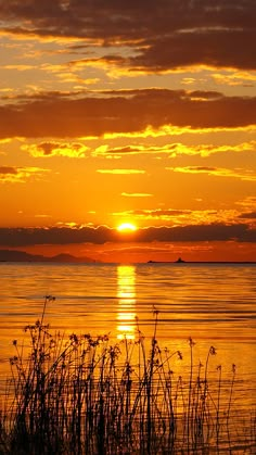 the sun is setting over the water with tall grass