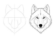 how to draw a wolf's head step by step