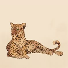 a drawing of a cheetah laying on the ground