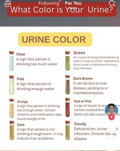 what color is your urine? info sheet for the public health care system, which includes different types of urine